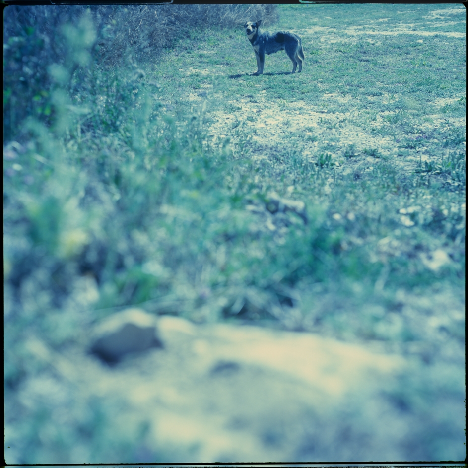 Having Company, Langtry, Texas, 2010